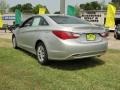 Radiant Silver - Sonata GLS Photo No. 5