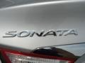 Radiant Silver - Sonata GLS Photo No. 15