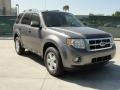 2011 Sterling Grey Metallic Ford Escape XLT  photo #1