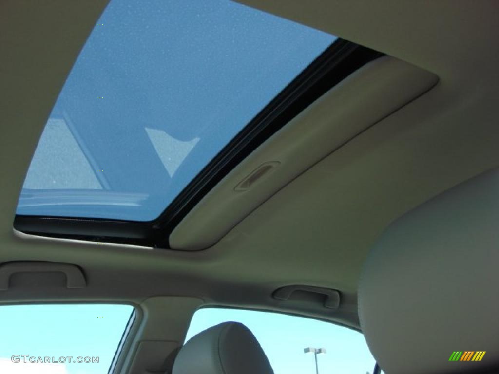 2010 Honda Civic EX-L Sedan Sunroof Photo #48136956
