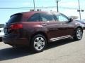 Dark Cherry Pearl - MDX Technology Photo No. 5