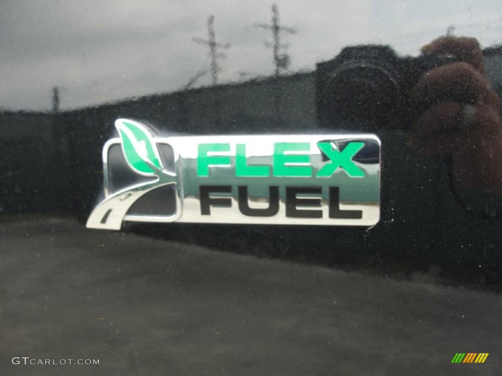 2010 Ford Expedition EL Limited 4x4 Marks and Logos Photo #48139158