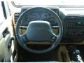 2001 Jeep Wrangler Camel/Dark Green Interior Steering Wheel Photo
