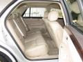 Gold Mist - DTS Sedan Photo No. 10