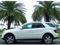 Arctic White - ML 350 4Matic Photo No. 1