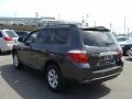 Magnetic Gray Metallic - Highlander 4WD Photo No. 4