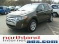 Earth Metallic - Edge SEL AWD Photo No. 4