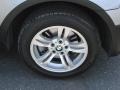 Silver Gray Metallic - X3 3.0i Photo No. 2