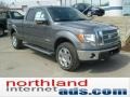 Sterling Grey Metallic - F150 Lariat SuperCab 4x4 Photo No. 2