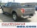 2011 Sterling Grey Metallic Ford F150 Lariat SuperCab 4x4  photo #5