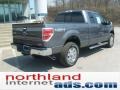 2011 Sterling Grey Metallic Ford F150 XLT SuperCab 4x4  photo #7