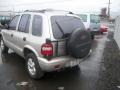 Pewter - Sportage 4x4 Photo No. 3