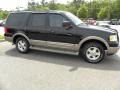 2003 Black Clearcoat Ford Expedition Eddie Bauer  photo #17