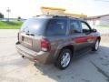 2008 Desert Brown Metallic Chevrolet TrailBlazer LT 4x4  photo #7