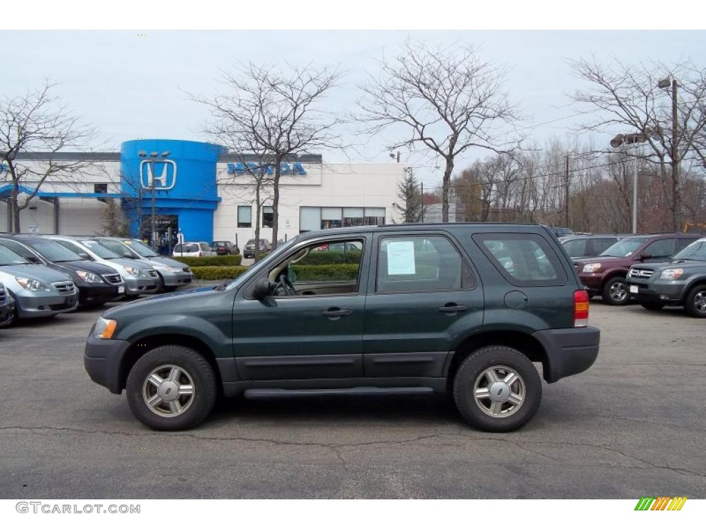 2004 Escape XLS V6 4WD - Aspen Green Metallic / Medium/Dark Pebble photo #1