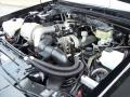 3.8 Liter Turbocharged OHV 12-Valve V6 1987 Buick Regal Grand National Engine