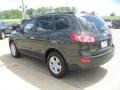 2010 Black Forest Green Metallic Hyundai Santa Fe GLS  photo #5