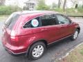 2008 Tango Red Pearl Honda CR-V EX-L 4WD  photo #3