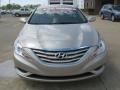 Camel Pearl - Sonata GLS Photo No. 2