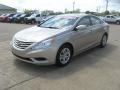 Camel Pearl - Sonata GLS Photo No. 3