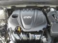 Camel Pearl - Sonata GLS Photo No. 21
