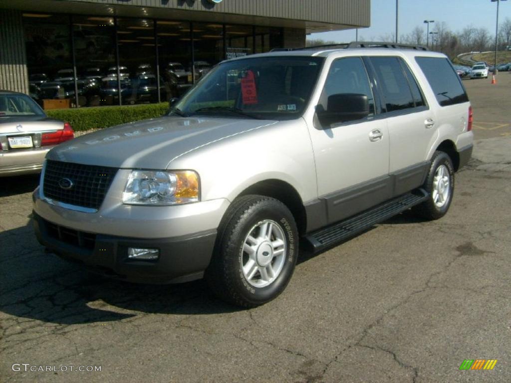 Silver Birch Metallic 2006 Ford Expedition XLT 4x4 Exterior Photo #48170297