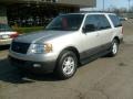 Silver Birch Metallic 2006 Ford Expedition XLT 4x4 Exterior