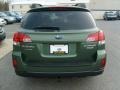 2010 Cypress Green Pearl Subaru Outback 2.5i Limited Wagon  photo #10