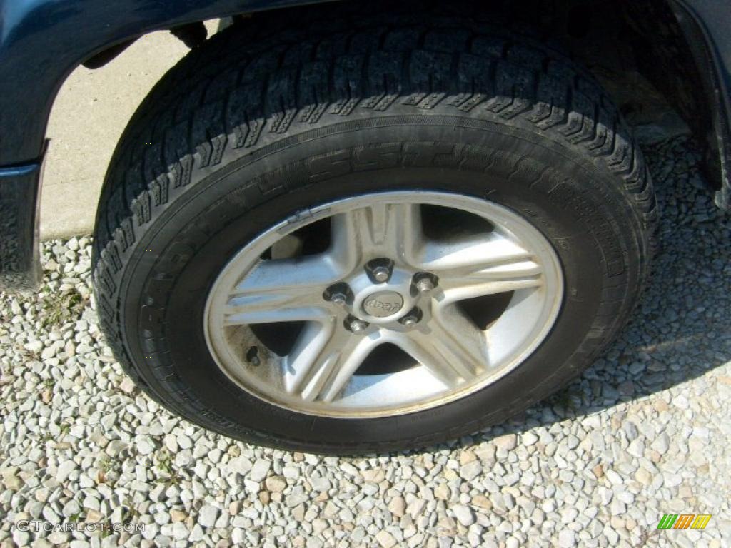 2001 Jeep Cherokee Classic 4x4 Wheel Photo #48176165