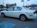 Icelandic White Pearl - Maxima GLE Photo No. 4