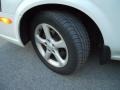Icelandic White Pearl - Maxima GLE Photo No. 10