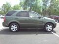 Ivy Green - Sorento LX Photo No. 17