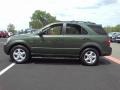  2007 Sorento LX Ivy Green
