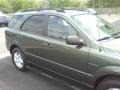 Ivy Green - Sorento LX Photo No. 21