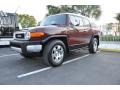 Brick Red 2008 Toyota FJ Cruiser Standard FJ Cruiser Model Exterior