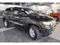 Natural Green Pearl - Grand Cherokee Laredo Photo No. 4