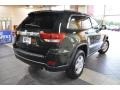 Natural Green Pearl - Grand Cherokee Laredo Photo No. 5