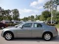 Silver Steel Metallic - 300 Touring Photo No. 2