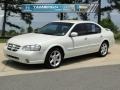 Icelandic Pearl - Maxima GLE Photo No. 1