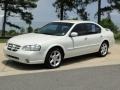 Icelandic Pearl - Maxima GLE Photo No. 10