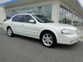 Icelandic Pearl - Maxima GLE Photo No. 39