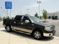 2006 Dark Stone Metallic Ford F150 XLT SuperCrew  photo #3