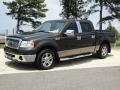 2006 Dark Stone Metallic Ford F150 XLT SuperCrew  photo #11