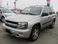 Silverstone Metallic - TrailBlazer LS 4x4 Photo No. 1