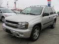 2005 Silverstone Metallic Chevrolet TrailBlazer LS 4x4  photo #1