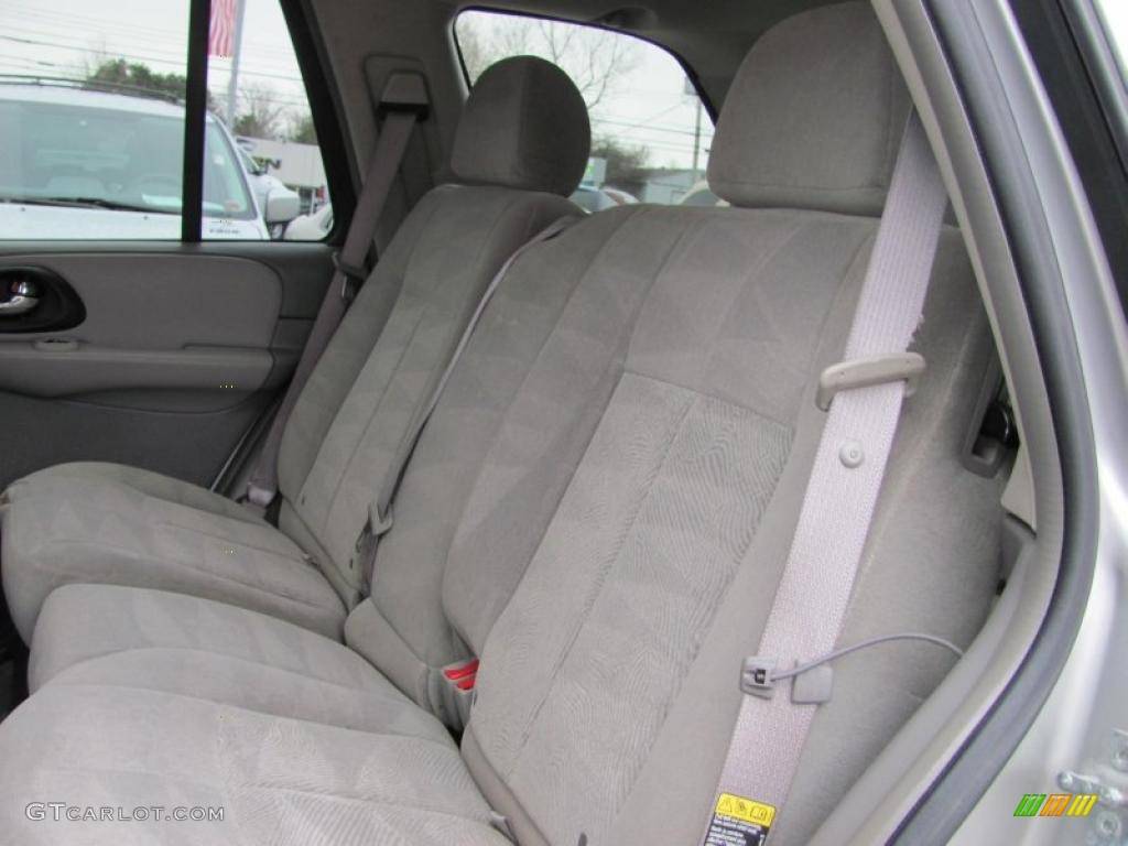 2005 TrailBlazer LS 4x4 - Silverstone Metallic / Light Gray photo #13