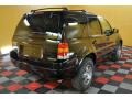 2003 Black Clearcoat Ford Escape Limited 4WD  photo #4
