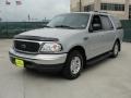 Silver Metallic - Expedition XLT Photo No. 7