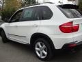 Alpine White - X5 3.0si Photo No. 3