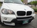 Alpine White - X5 3.0si Photo No. 10